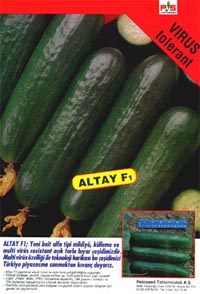 ISTE  BEKLEDIGINIZ HIYAR
